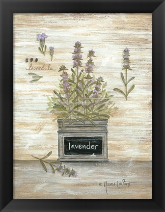 Framed Lavender Botanical Print