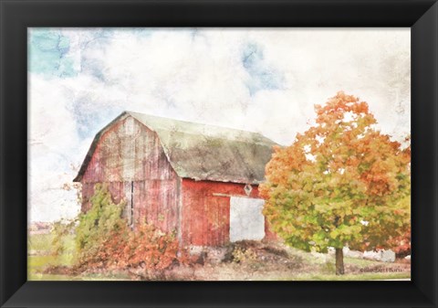 Framed Autumn Maple by the Barn Print