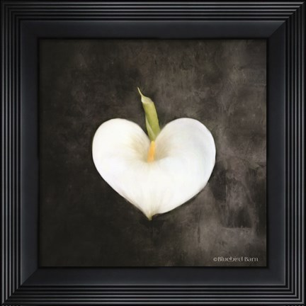 Framed Contemporary Floral Cala Lily Print