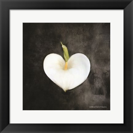 Framed Contemporary Floral Cala Lily Print