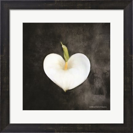Framed Contemporary Floral Cala Lily Print