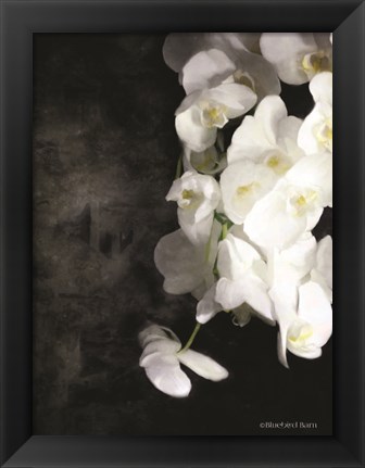 Framed Contemporary White Orchids Print