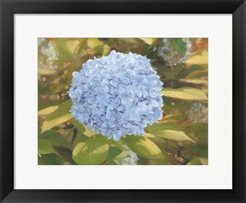 Framed In the Garden Print