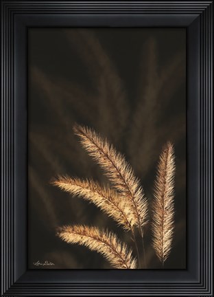 Framed Golden Grass I Print