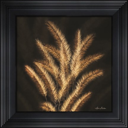 Framed Golden Grass II Print