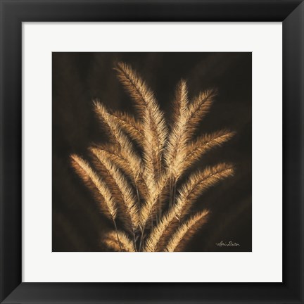 Framed Golden Grass II Print