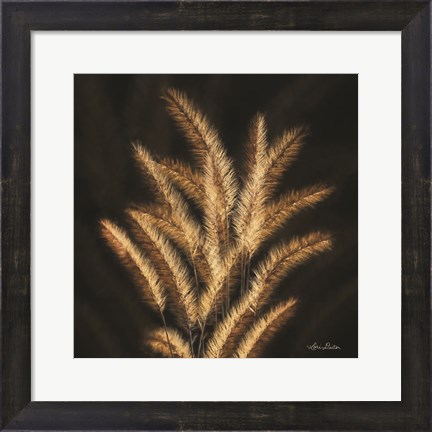 Framed Golden Grass II Print