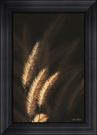 Framed Golden Grass III Print