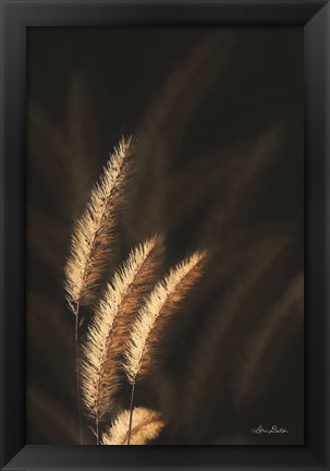 Framed Golden Grass III Print