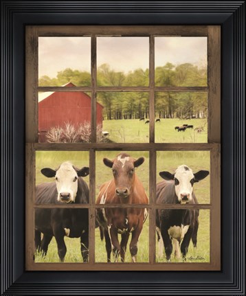 Framed Three Moo View Print