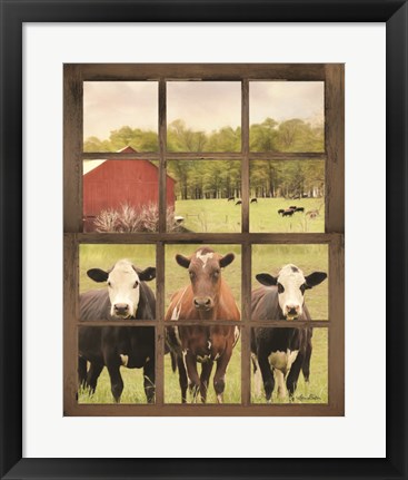 Framed Three Moo View Print