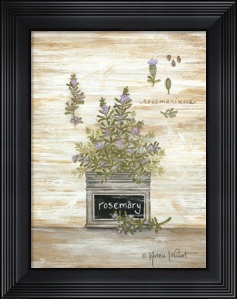 Framed Rosemary Botanical Print