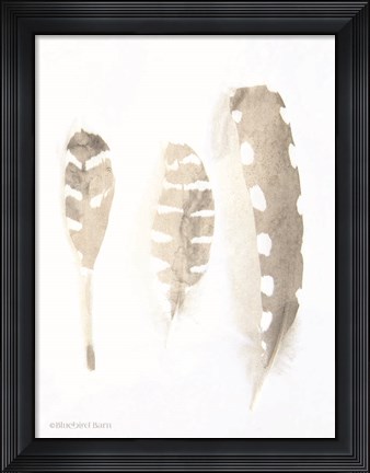 Framed Neutral Feathers Study Print