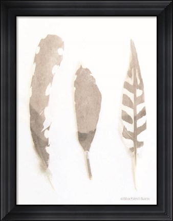 Framed Soft Feathers Study Print