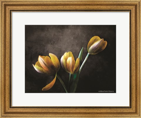 Framed Contemporary Floral Tulips Print