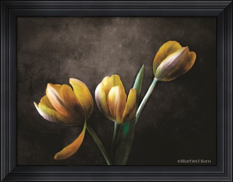 Framed Contemporary Floral Tulips Print