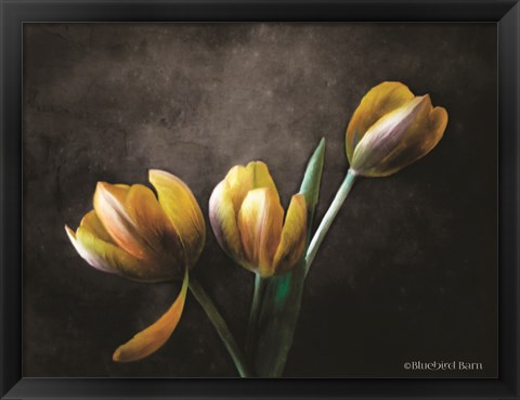 Framed Contemporary Floral Tulips Print