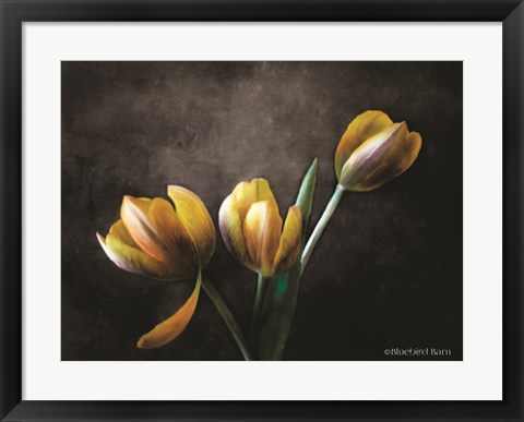 Framed Contemporary Floral Tulips Print