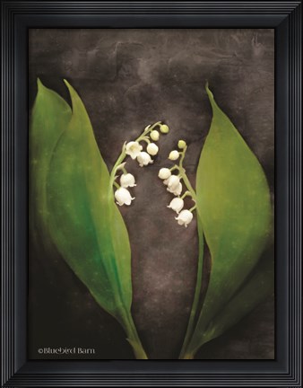 Framed Contemporary Floral Lily of the Valley Print