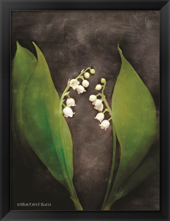 Framed Contemporary Floral Lily of the Valley Print