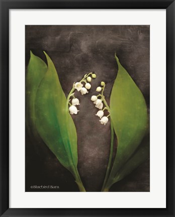 Framed Contemporary Floral Lily of the Valley Print