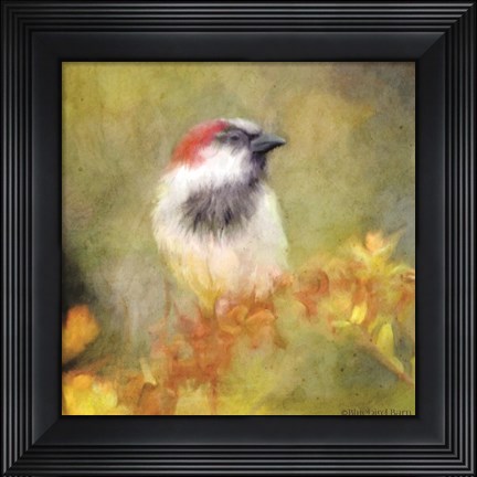 Framed Backyard Bird in Autumn Print