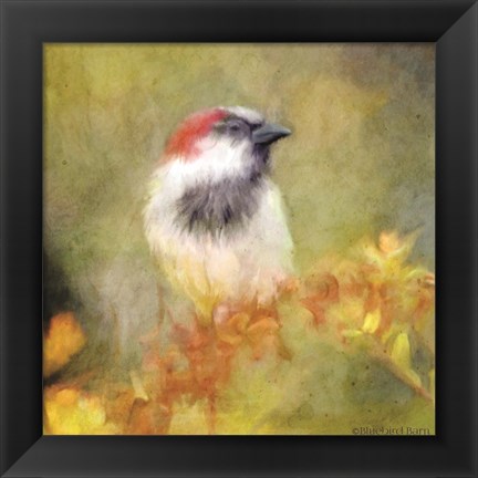 Framed Backyard Bird in Autumn Print