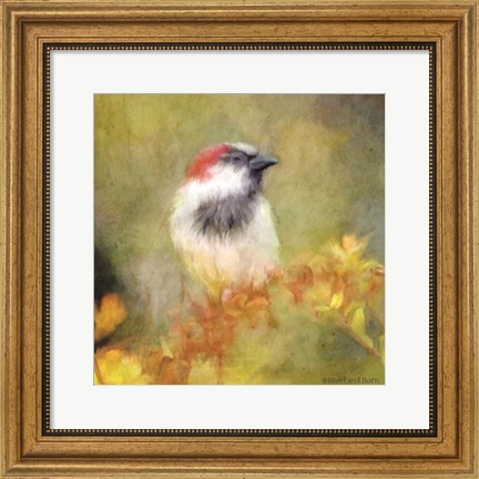 Framed Backyard Bird in Autumn Print