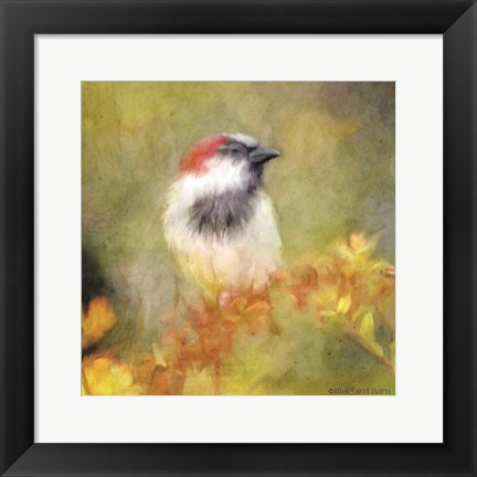 Framed Backyard Bird in Autumn Print