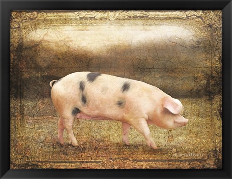 Framed Vintage Sow Print