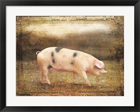 Framed Vintage Sow Print