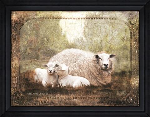 Framed Vintage Ewe and Sleeping Lambs Print