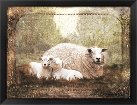 Framed Vintage Ewe and Sleeping Lambs Print