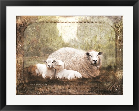 Framed Vintage Ewe and Sleeping Lambs Print