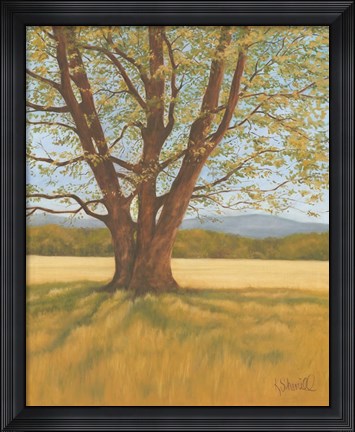 Framed Spring Meadow Print