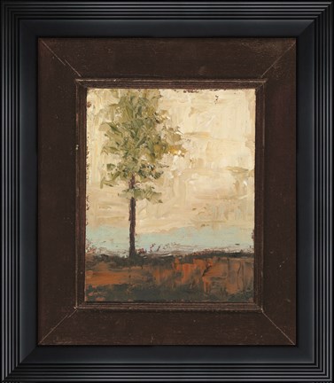 Framed Summer Solitude Print