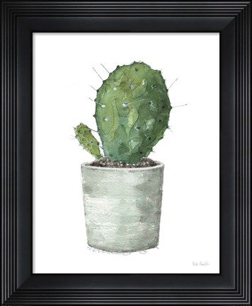 Framed Mixed Greens Succulent VI Print