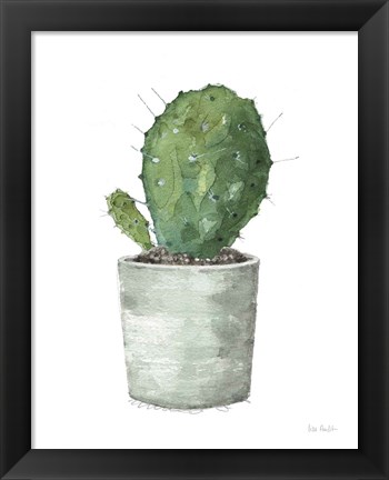 Framed Mixed Greens Succulent VI Print