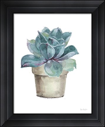 Framed Mixed Greens Succulent IV Print
