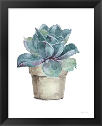 Framed Mixed Greens Succulent IV Print