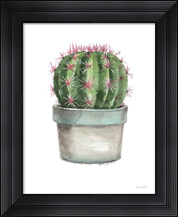 Framed Mixed Greens Succulent II Print
