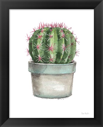 Framed Mixed Greens Succulent II Print