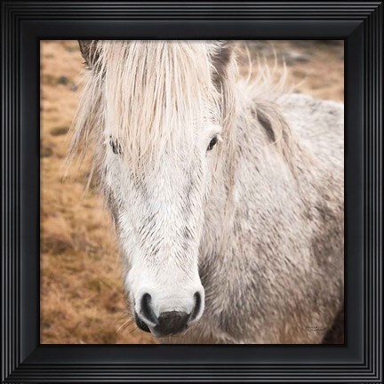 Framed Heida IV Print