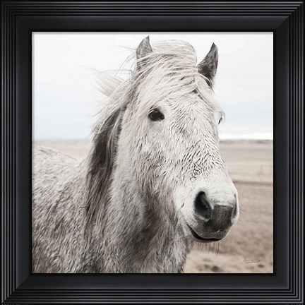 Framed Heida III BW Print