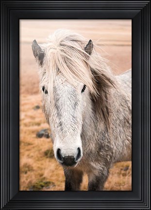 Framed Heida II Print