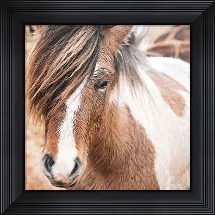 Framed Elska IV Print
