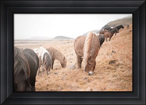 Framed Horses of Hofn II Print