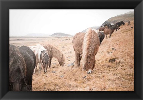 Framed Horses of Hofn II Print