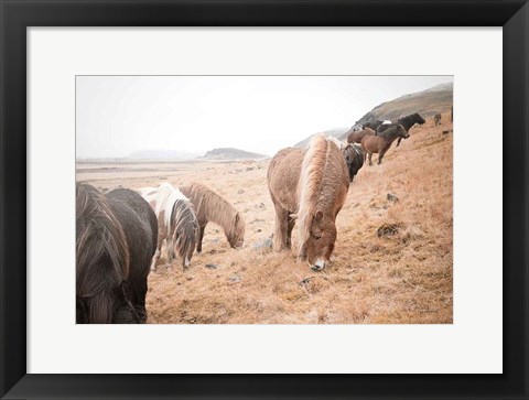 Framed Horses of Hofn II Print