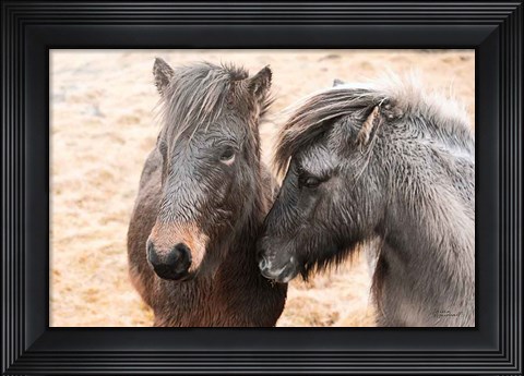 Framed Bjarni and Imir II Print